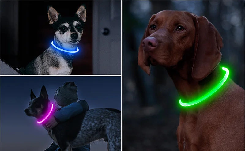 Led Dog Collar Luminous Usb Cat Dog Collar