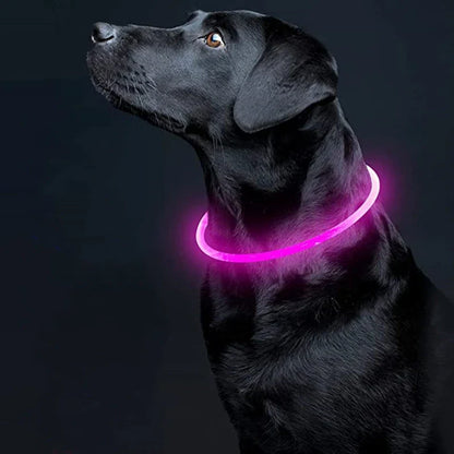 Led Dog Collar Luminous Usb Cat Dog Collar