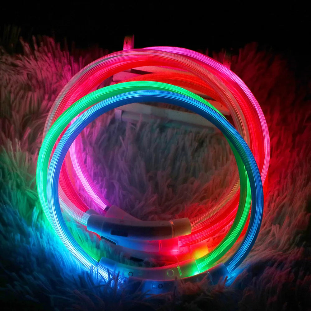 Led Dog Collar Luminous Usb Cat Dog Collar