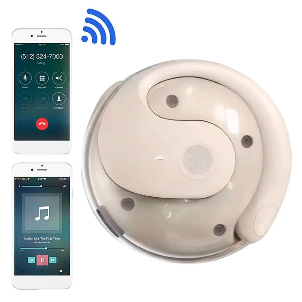 Smart Language Translator Earbuds