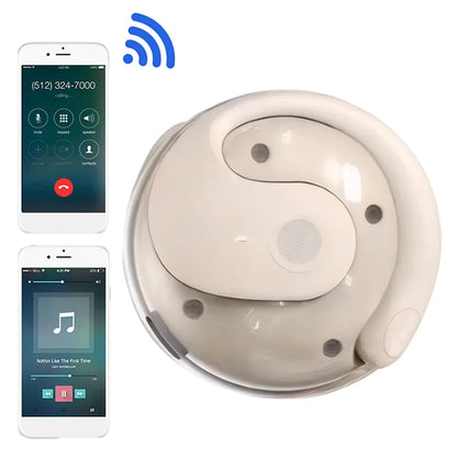 Smart Language Translator Earbuds